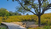 George W. Bush Presidential Center