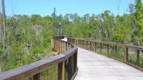 Gordon River Greenway Park