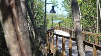 Gordon River Greenway Park